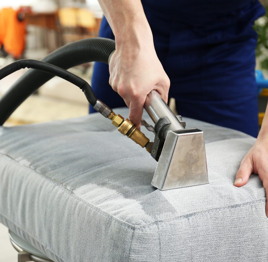 Professional deep cleaning of upholstery